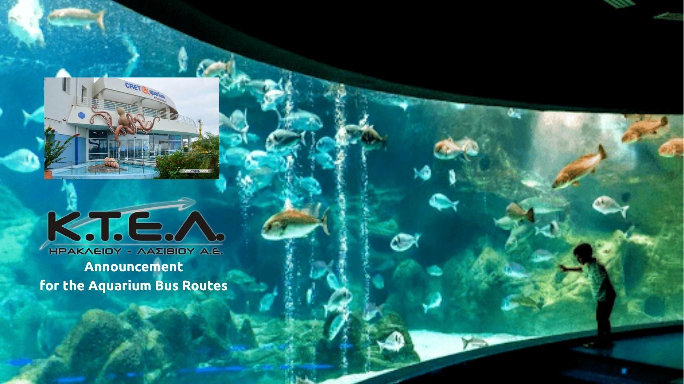 📌 Announcement for the Aquarium Bus Routesimage0